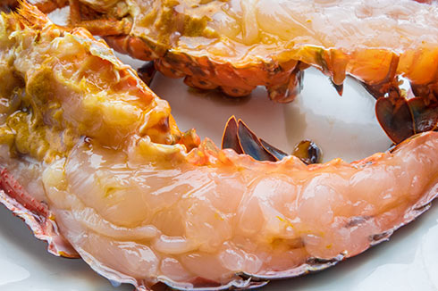 Mariner le côté chair des langouste avant de les cuire au four au barbecue ou à la sauteuse lefishgourmand